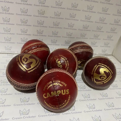 SG Campus Cricket ball (pack of 6)